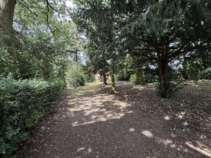 Photo 12- click for photo gallery